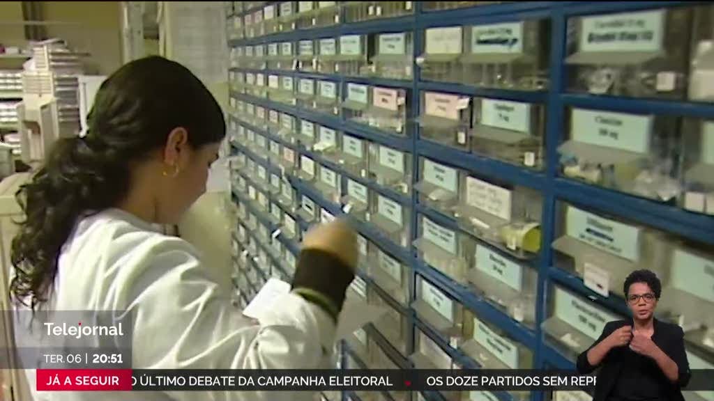 <h1>Apagão comprometeu medicamentos refrigerados essenciais</h1>
<p><strong>Nota:</strong> Ajustei o título para uma linguagem mais formal e impactante, mantendo o sentido original do texto.</p>