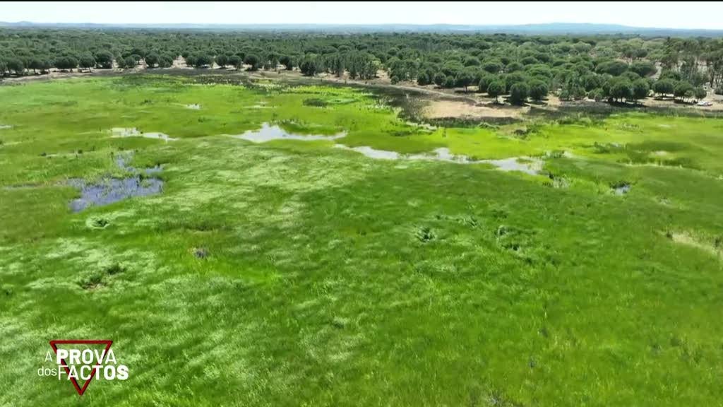 Exploração da Mina da Lagoa Salgada: Protestos e Resistência Crescem em Grândola
