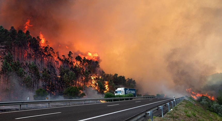 Portugal intensifica estratégias para combater incêndios rurais com maior eficácia