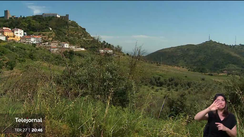 Tempo previsto para limpeza de terrenos em debate face à chuva persistente