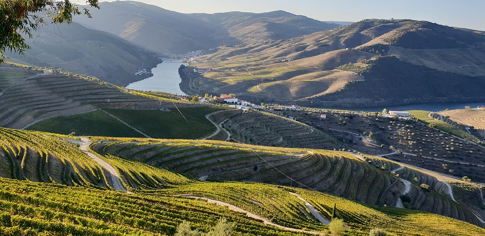  rio douro