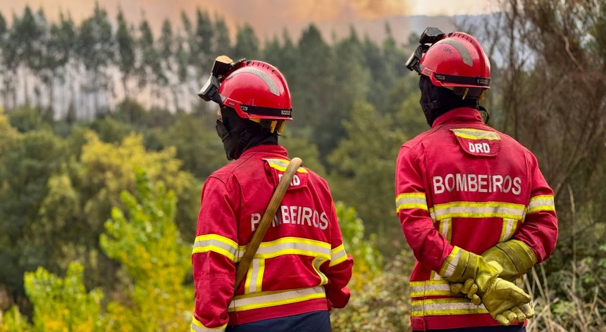 Tribunal de Contas Europeu: Fundos para prevenção de incêndios direcionados a áreas 'parcialmente submersas'