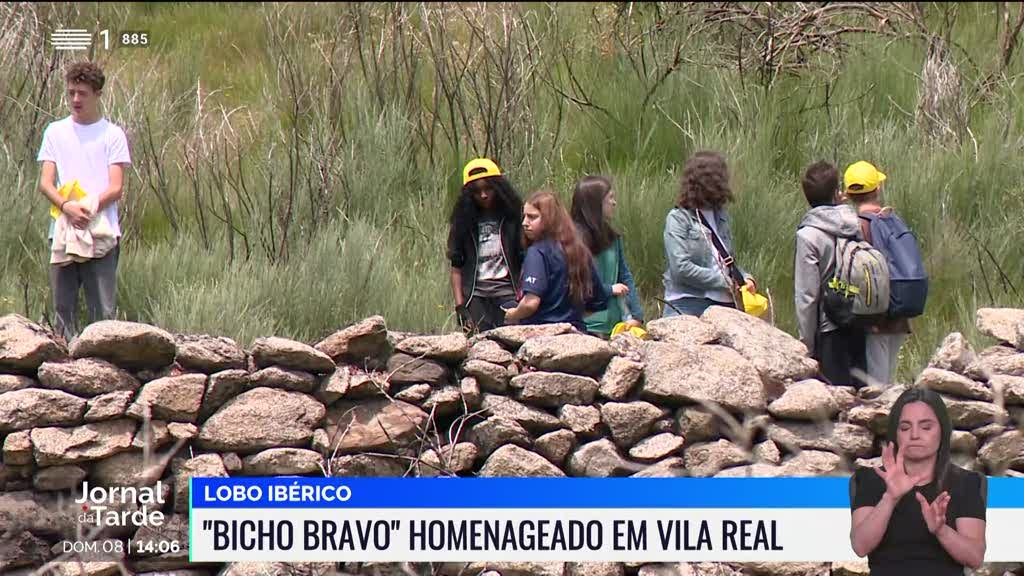 Vila Real celebra o lobo-ibérico com uma homenagem imperdível!
