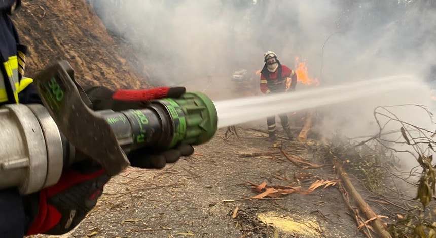 Incêndios na Europa: cada vez mais frequentes, devastadores e imprevisíveis